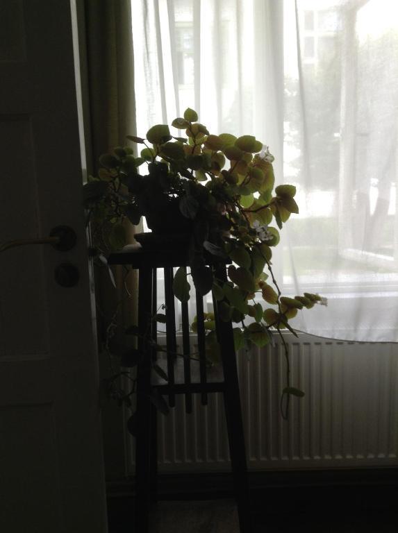 Kastani Home Accommodation Tartu Exterior foto